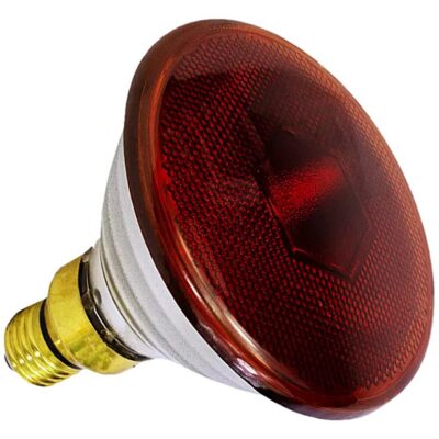 Lampada Infravermelho Infralight Red Lamp